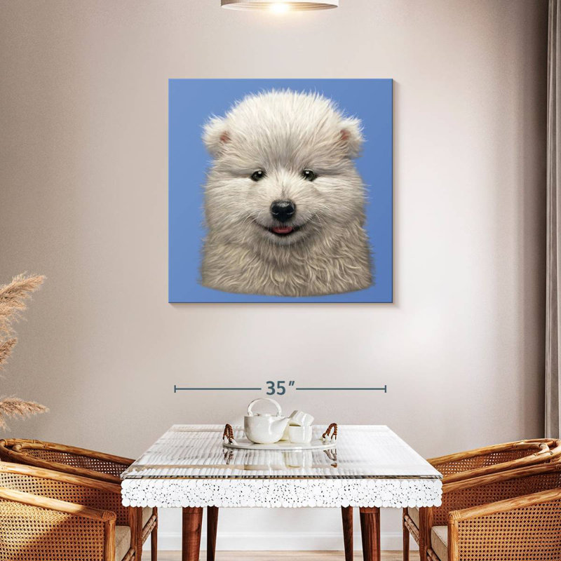 Brampt Samoyed Puppy