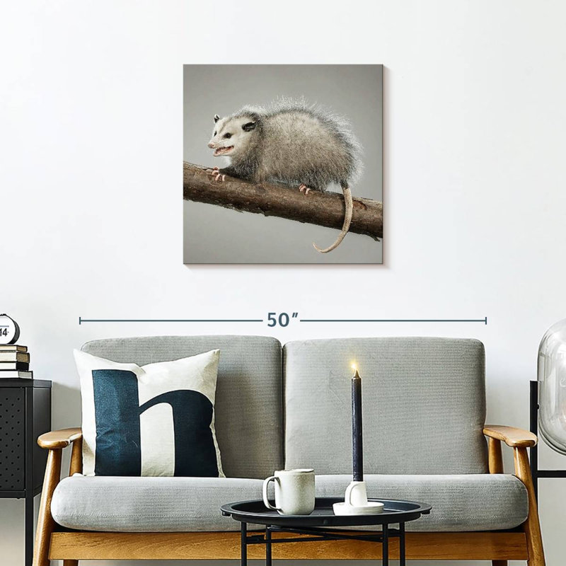 Bramoss Snarky Opossum, H 24 po x l 24 po