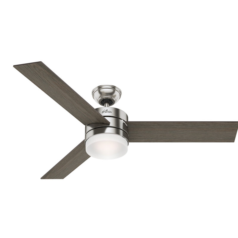 54" Exeter 3 - Blade Standard Ceiling Fan with Remote Control and Light Kit Included, Brushed Nickel with Light Gray