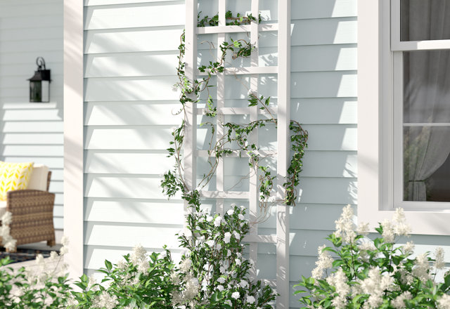 Top-Rated Trellises