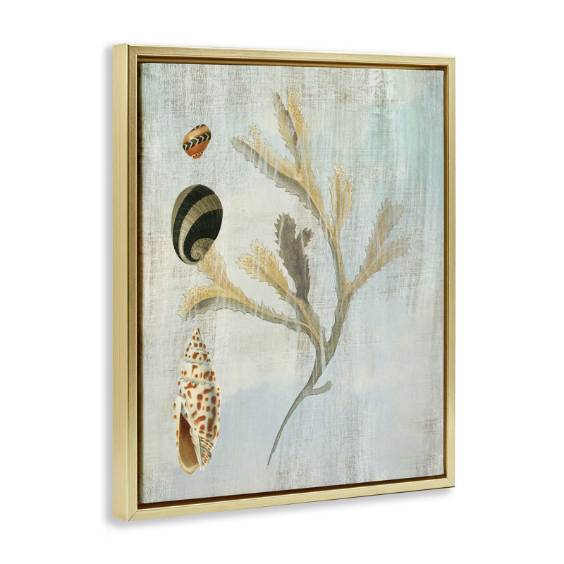 Cadre flottant mixte coquillages et corail, design par Susan Arnot, H 21 po x l 17 po, Cadre flottant métallique doré