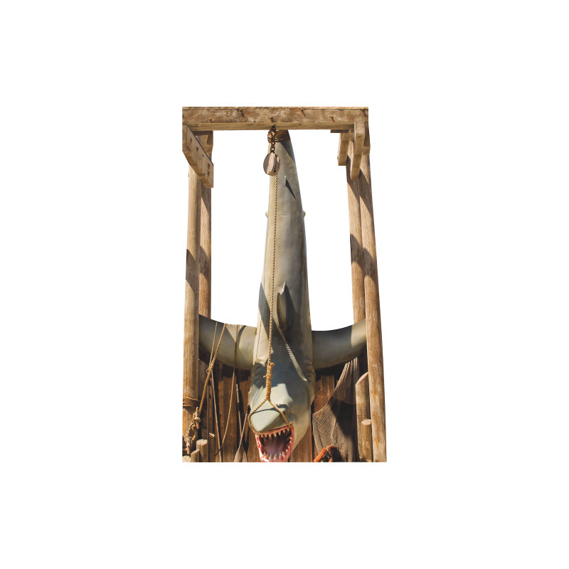 SP13125 Shark Hanging