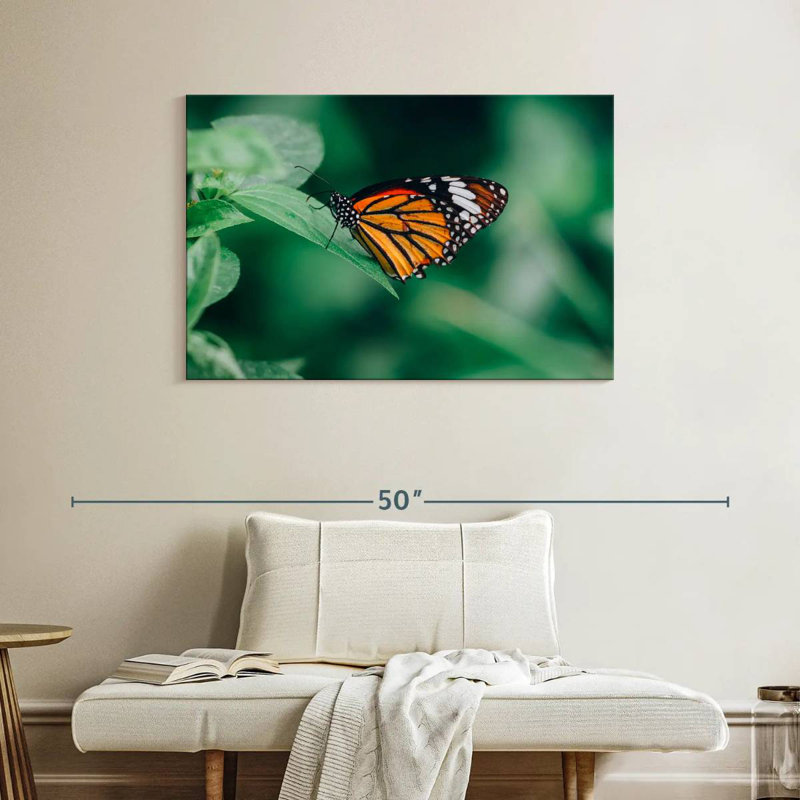 Brampt Orange Butterfly