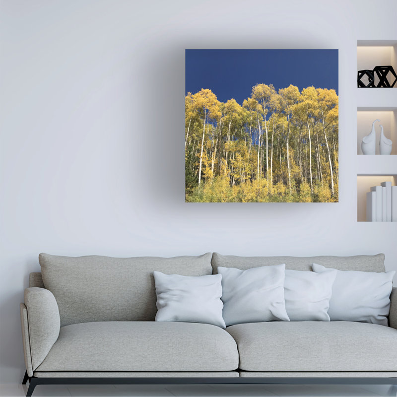 Art sur toile, Colonie Kent, H 14 po x l 14 po