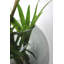 Dahntay Handmade Glass Table Vase-1805221704