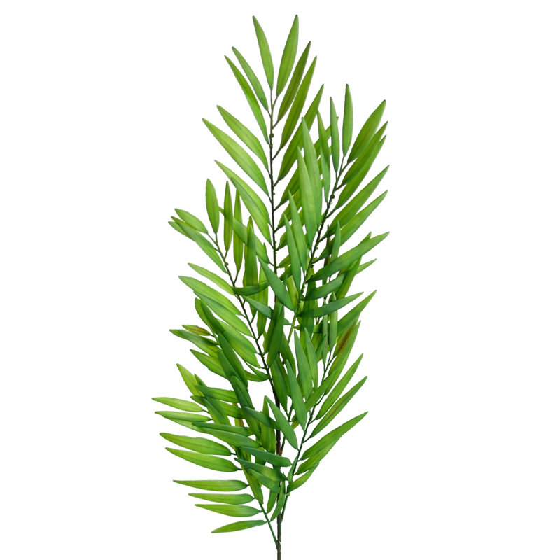 Andarius Arrangement
