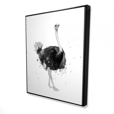 " Proud Ostrich "