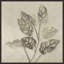 Garden On Glaze III Painting by Aviva Stanoff-1619343077-1619343065