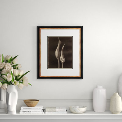 «Sepia Flowers 23» - Photographie encadrée sur papier
