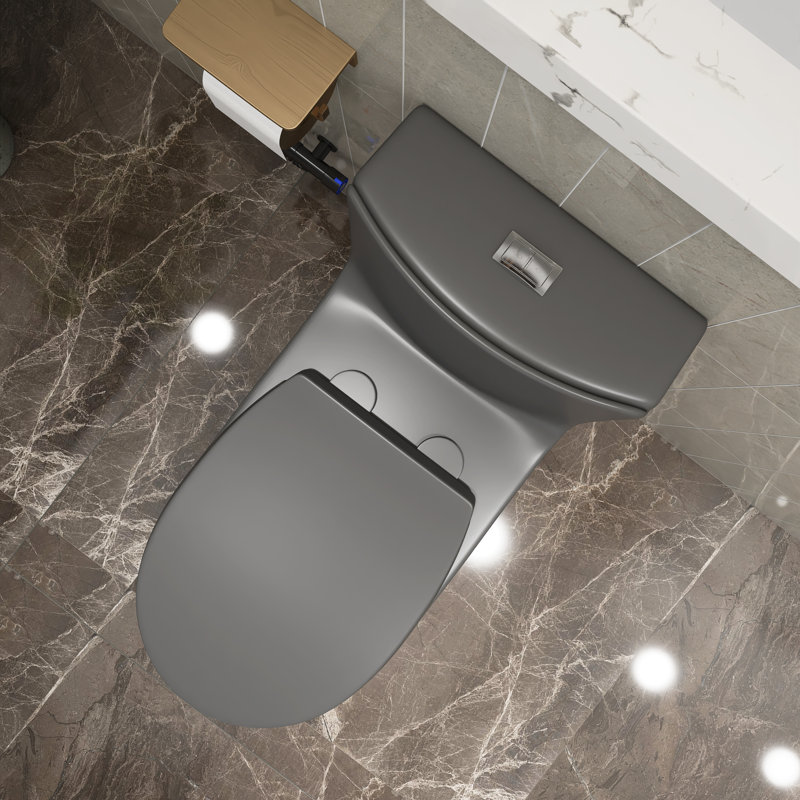 1 siège de toilette allongé à double chasse 1,1 / 1,6 GPF inclus, Gris clair