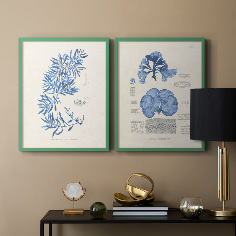 Blue Marine Algae III - reproduction encadrée de qualité supérieure - prête à être accrochée - aucun clou requis - aucun clou requis