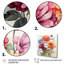 Illustration simple de Zinnia Bouquet I - Zinnias, art mural-1336060225-1336060234