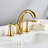 2-handle Bathroom Faucet with Drain Assembly-93389871