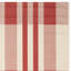 Anyan Plaid Indoor / Outdoor Area Rug-20765286