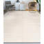 Area Rug in Beige