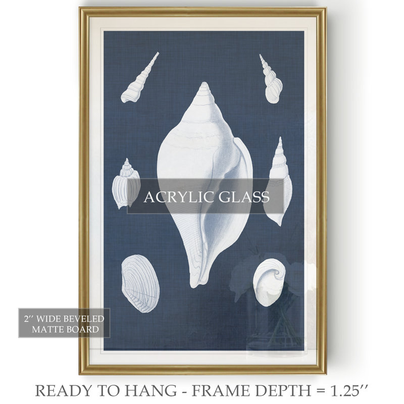 « coquillages blancs ii », impression sur toile, H 22,5 po x l 30,5 po x P 1,5 po, Or