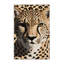  Tapis lavable guépard éthiopien Big Cats-1977584491