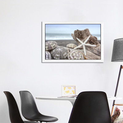 Crescent Beach Shells V by Alan Blaustein - Floater Frame Print on Canvas