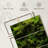 " Thick Moss " 3 - Pieces-117433961