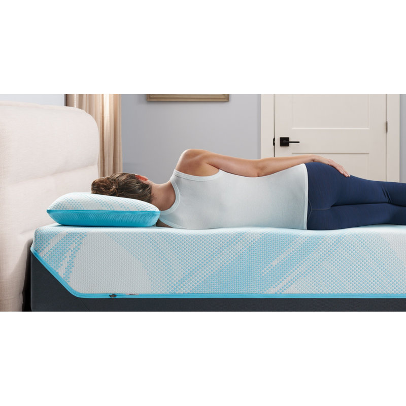 Breeze® ProLo Memory Foam Medium Cooling Pillow, Queen
