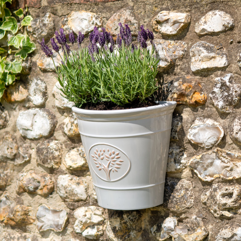 Dinardo Wall Planter, Off White