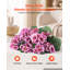 Geranium Arrangement