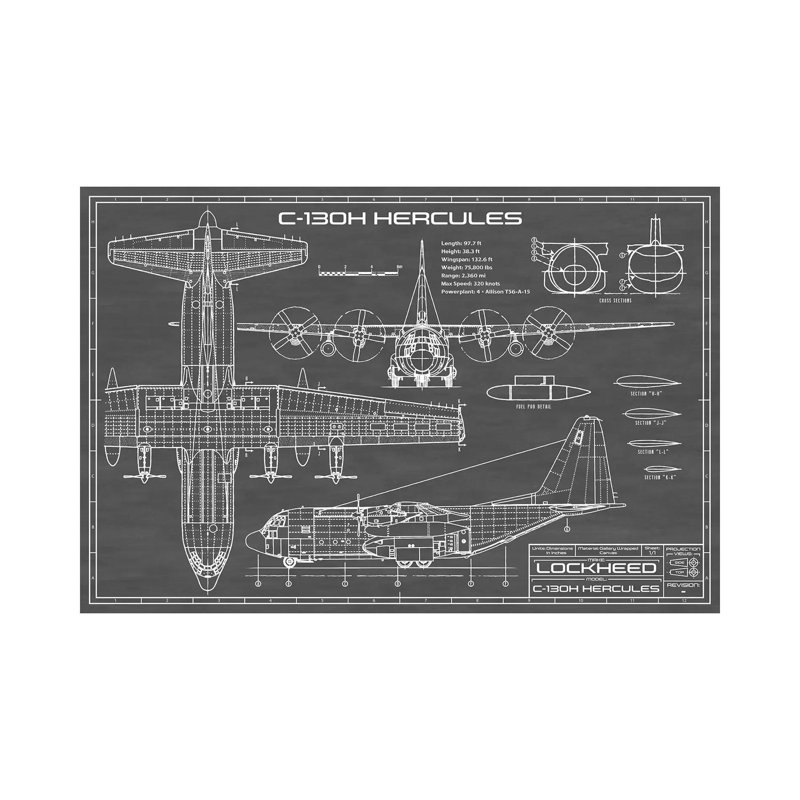 Avion C-130 Hercules | Noir - imprimé, H 8 po x l 12 po x P 0,75 po