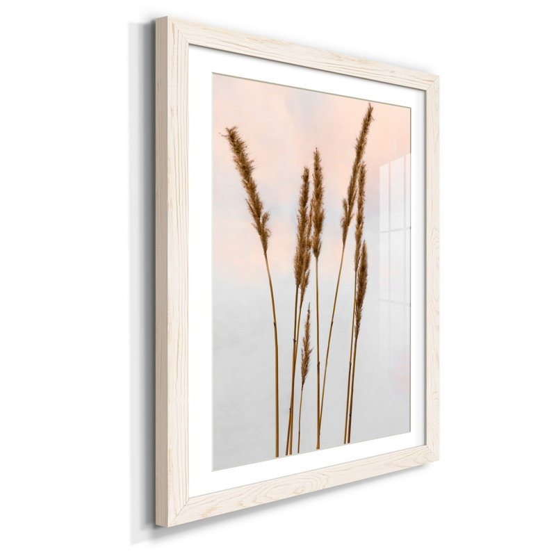 Zen Succulent IV - Reproduction d'art graphique sur papier encadré, H 44 po x l 31 po x P 1 po, Blanc