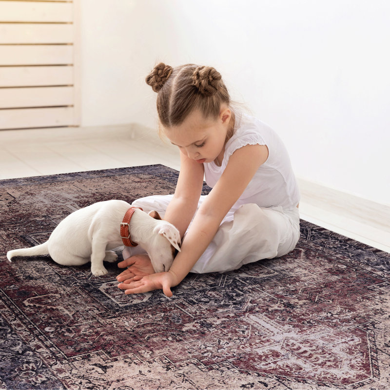 2x3 Area Rug, Machine Washable, Stain , Non-slip, For Bedroom, Living Room, Kitchen, Dining Room - Burgundy, Pet- Rug 2x3, Design
