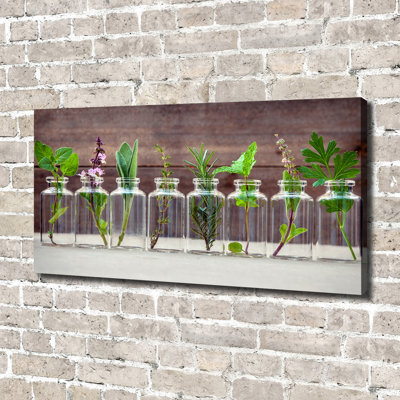 Plants In Jars - No Frame Print