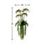 5.25' Orchid and Cactus Arranged in Fiberstone Planter