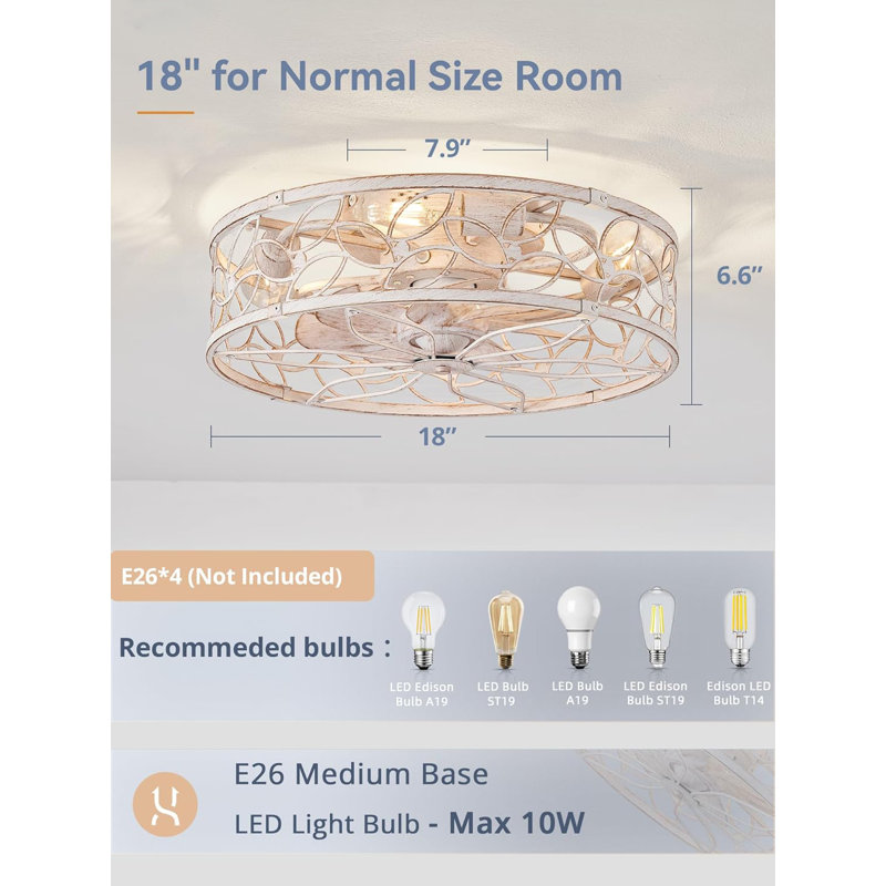 Ceiling Fan With Light