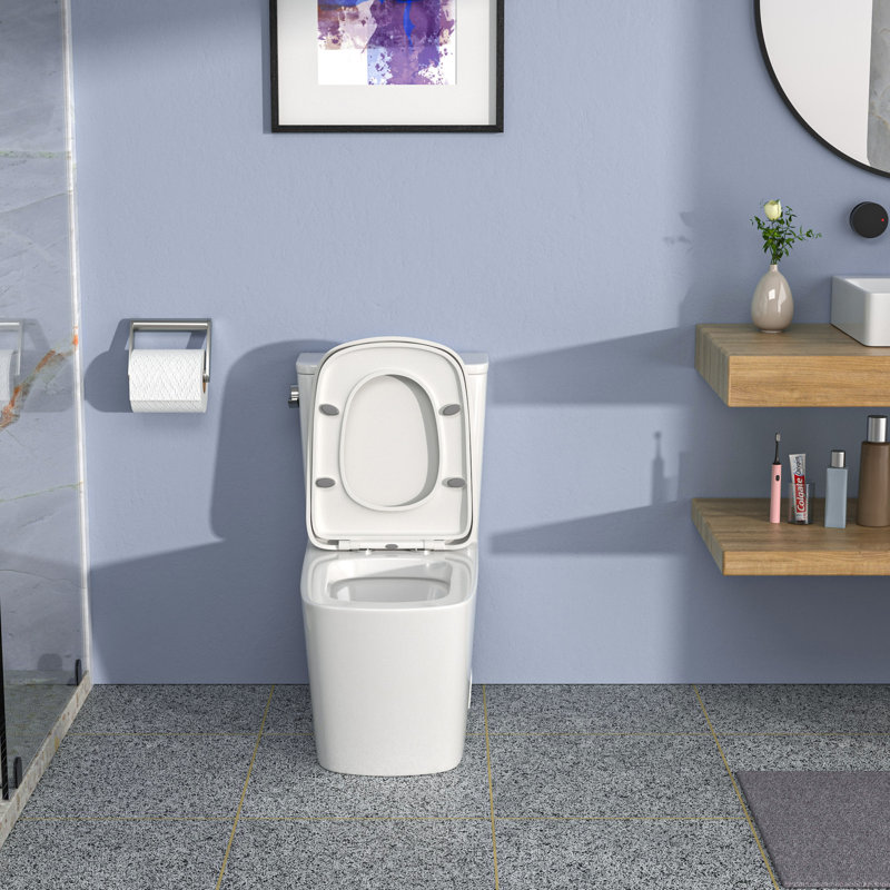 Toilette une pièce Rainlex RX-T27W