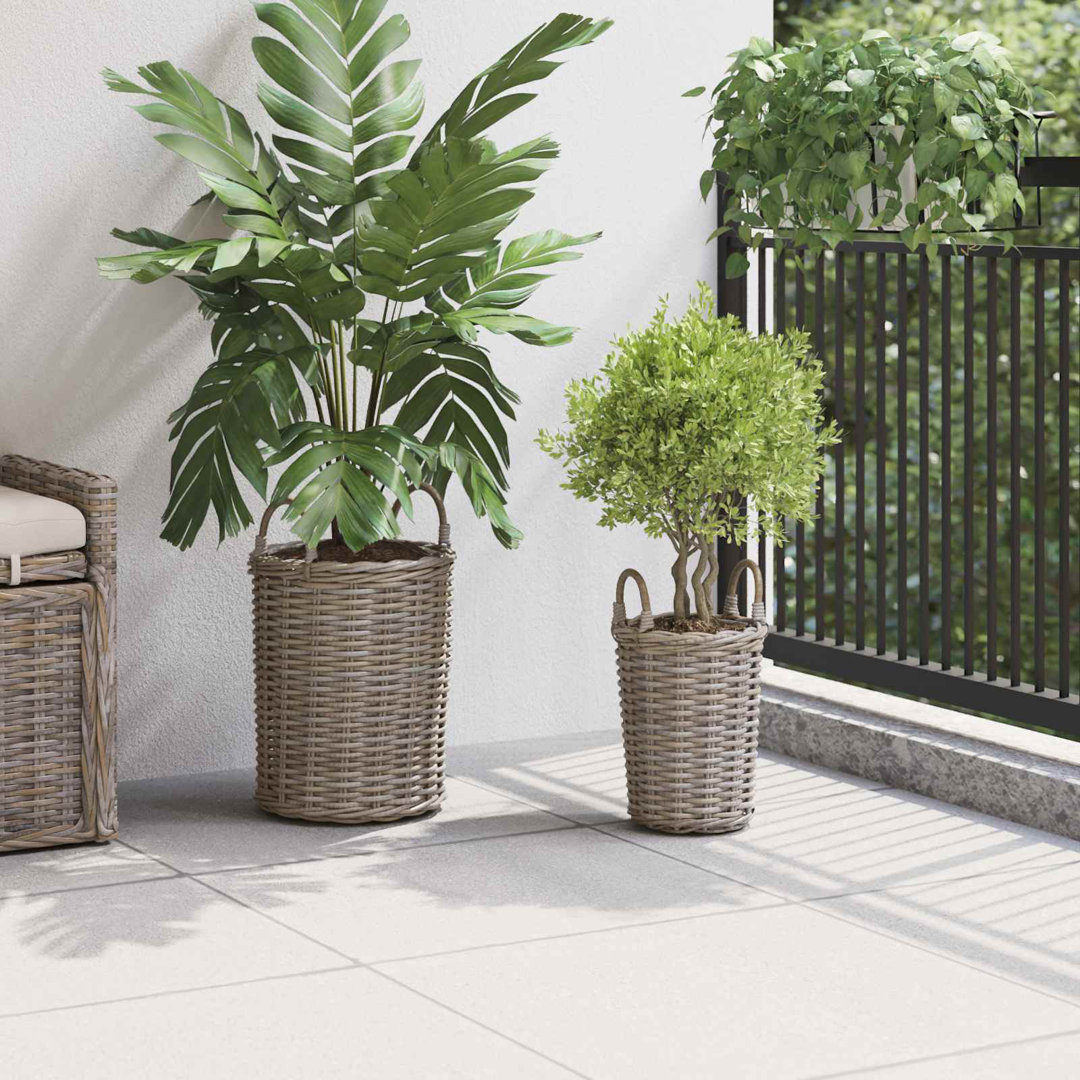 Pot Planter