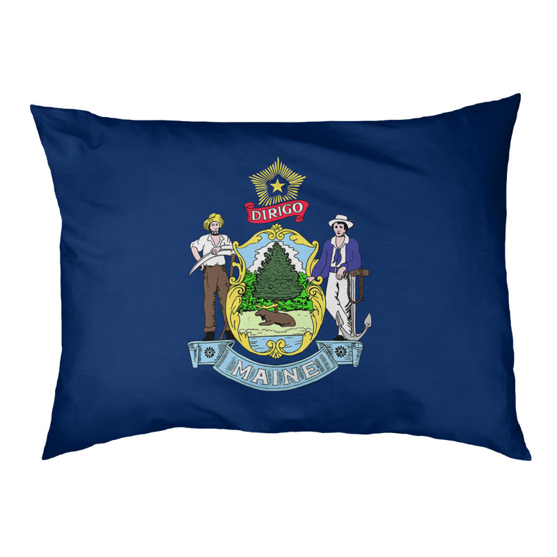 Coussin de créateur de pavillon maine Burien, L 42 po x l 52 po, Noir
