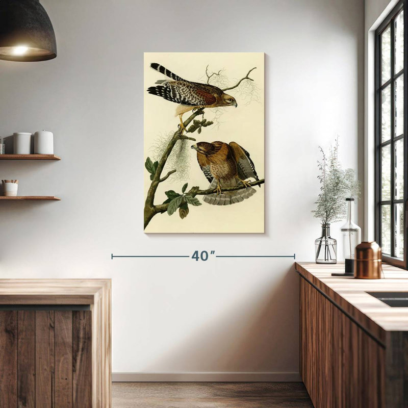 Ronce à faucon à épines d'oiseaux d'Amérique, H 39 po x l 26 po