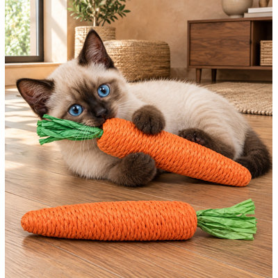 0.2 " H Cat Toys