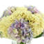 Hydrangea Floral Arrangement in Acrylic Water Vase