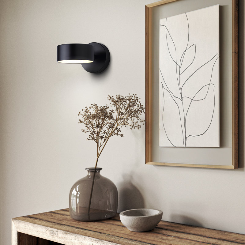 Pajo 1 Light LED Wall Fixture