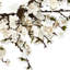 Faux Plum Blossom Plastic 24'' Wreath