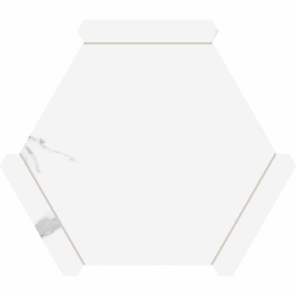 Avant Carrara Hexagon Porcelain Tiles – 8.66”x9.84” Designer Wall & Floor Tiles | Modern Stone & Wood Finish