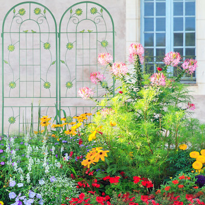 2 Pack Rustproof Metal Garden Trellis 71"X19.7", Outdoor Plant Holder, Easy To Install, Iron, For Morning Glory, , Cucumber, 71" X 19.7" 2, Flower , Assembly, Strong Material, Ivy Vines, Jasmine,
