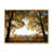 Brown Floater Framed Canvas