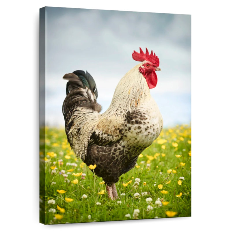 English Rooster, 24" H x 16" W
