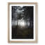 White Wolf in a Forest - Picture Frame Painting Print-56854629-56854635