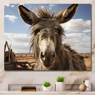 " Gray Donkey Portrait "