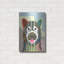 «Akita Dog» par Lanre Adefioyue-972938151