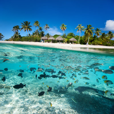 «Tropical Island» par Shalamov - Photographie sur toile tendue