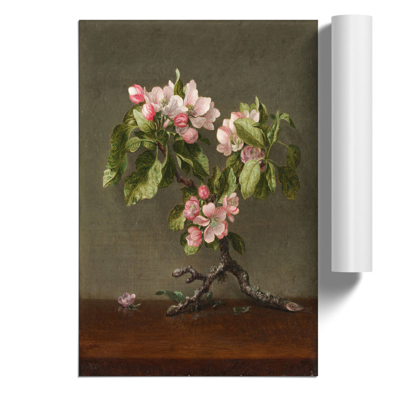 Apple Blossom Flowers by Martin Johnson Heade - No Frame Print, 59cm H x 42cm W x 0.1cm D