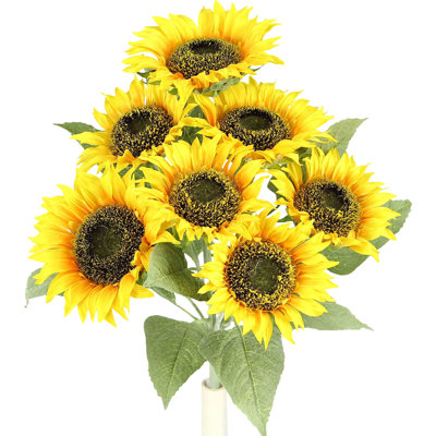 Tige de tournesol pleine floraison
